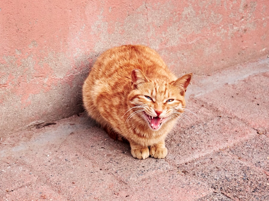 Tarification Cat Nat