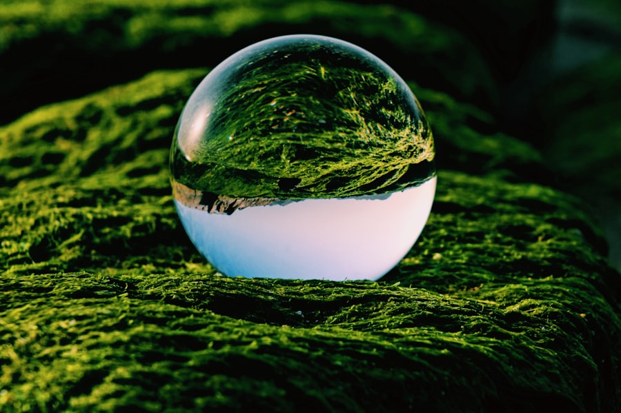 Sustainability governance