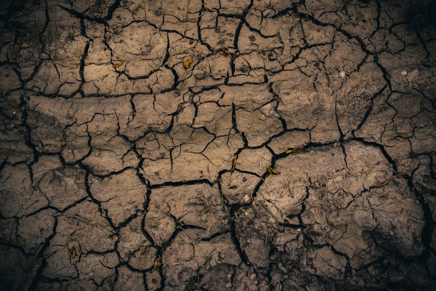 climate risk management