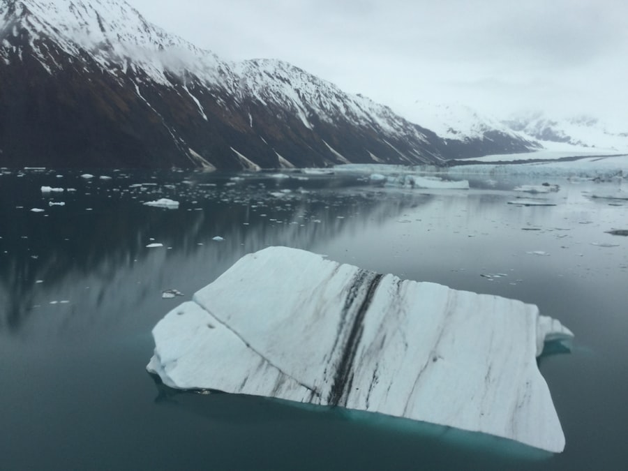 climate risk