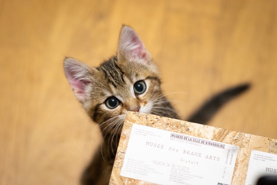 Tarification Cat Nat