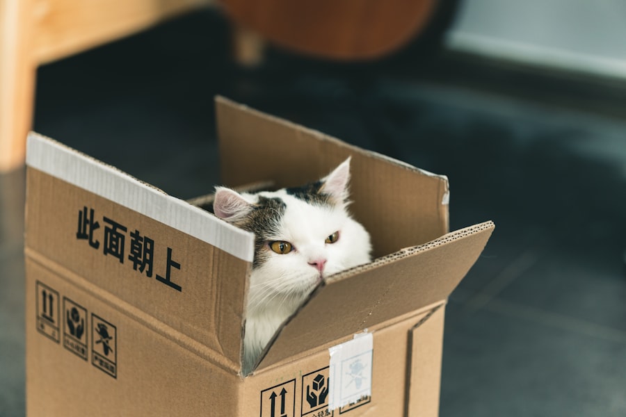 Photo Tarification Cat Nat