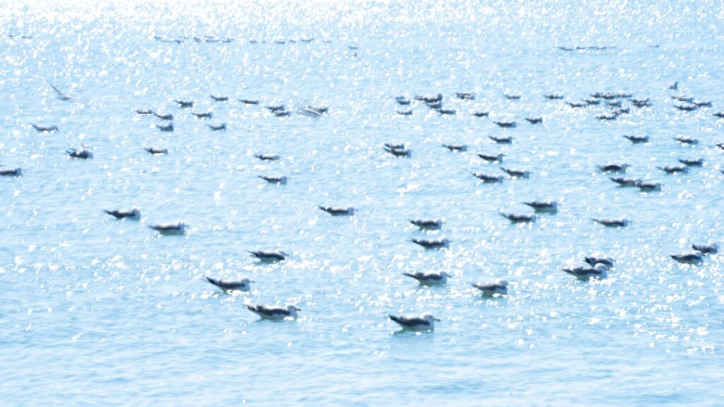 Photo ISO 20022 migration