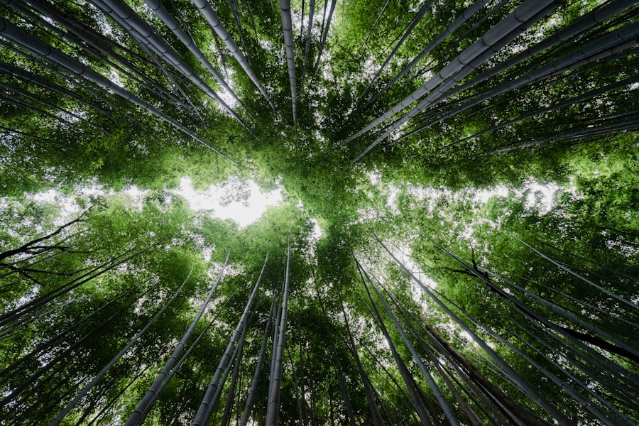 Photo Sustainability governance