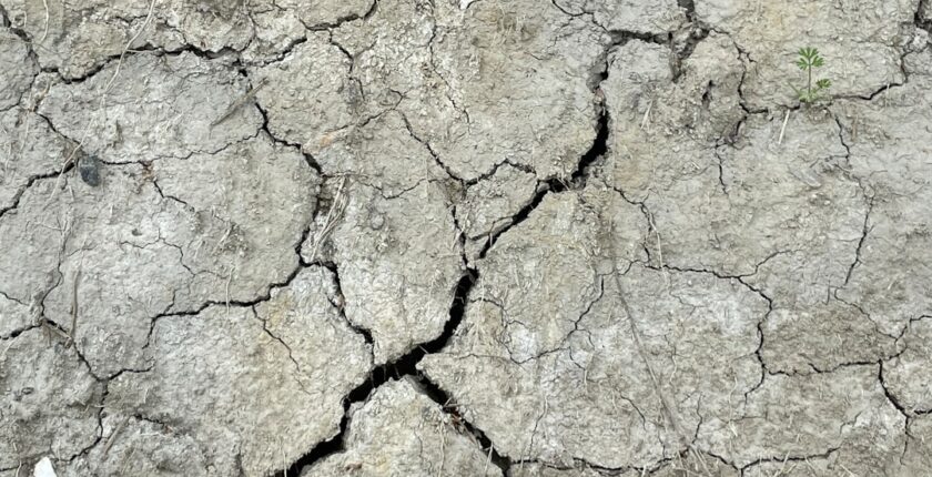Photo climate risk management