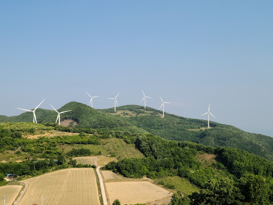 Photo sustainability report