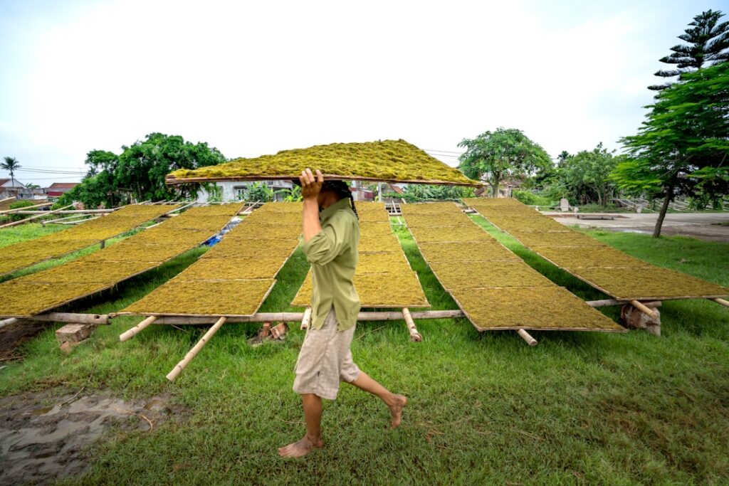 Photo Sustainability governance