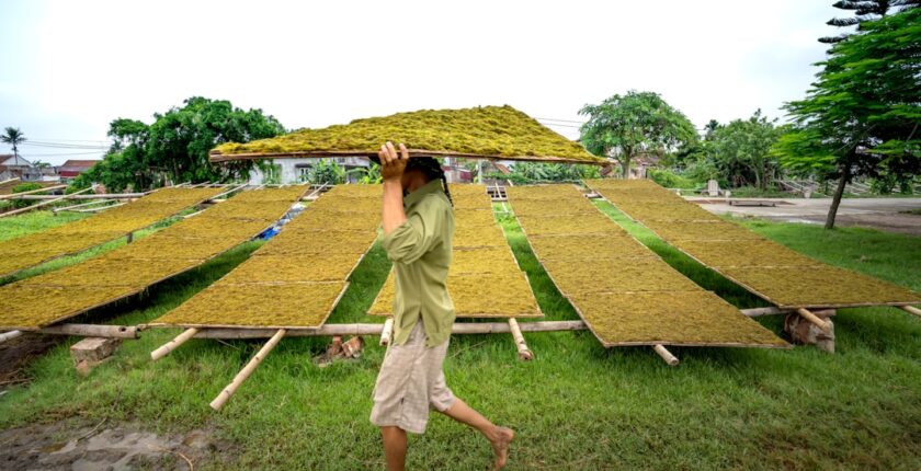 Photo Sustainability governance