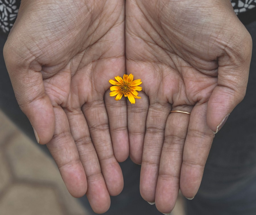 Photo social impact offers