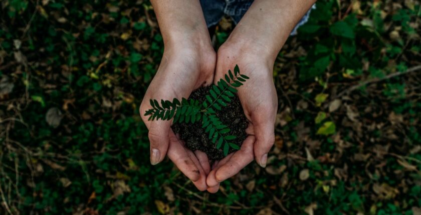Photo Sustainability reporting
