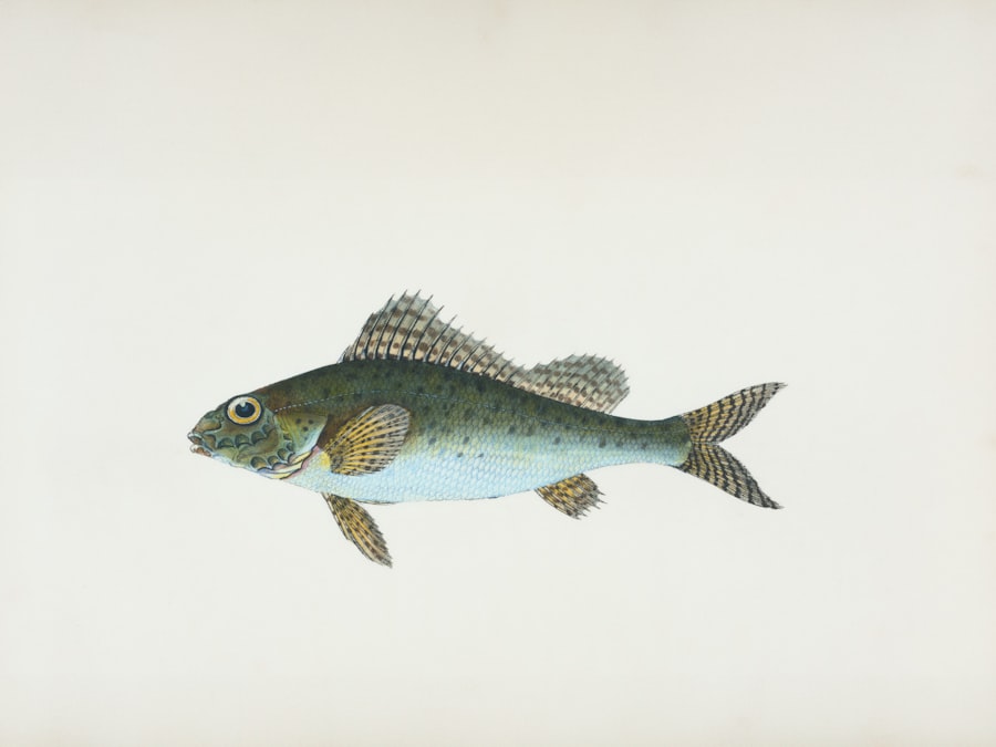 Photo Taxonomy