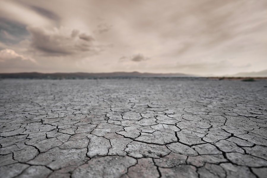 Photo climate credit integration