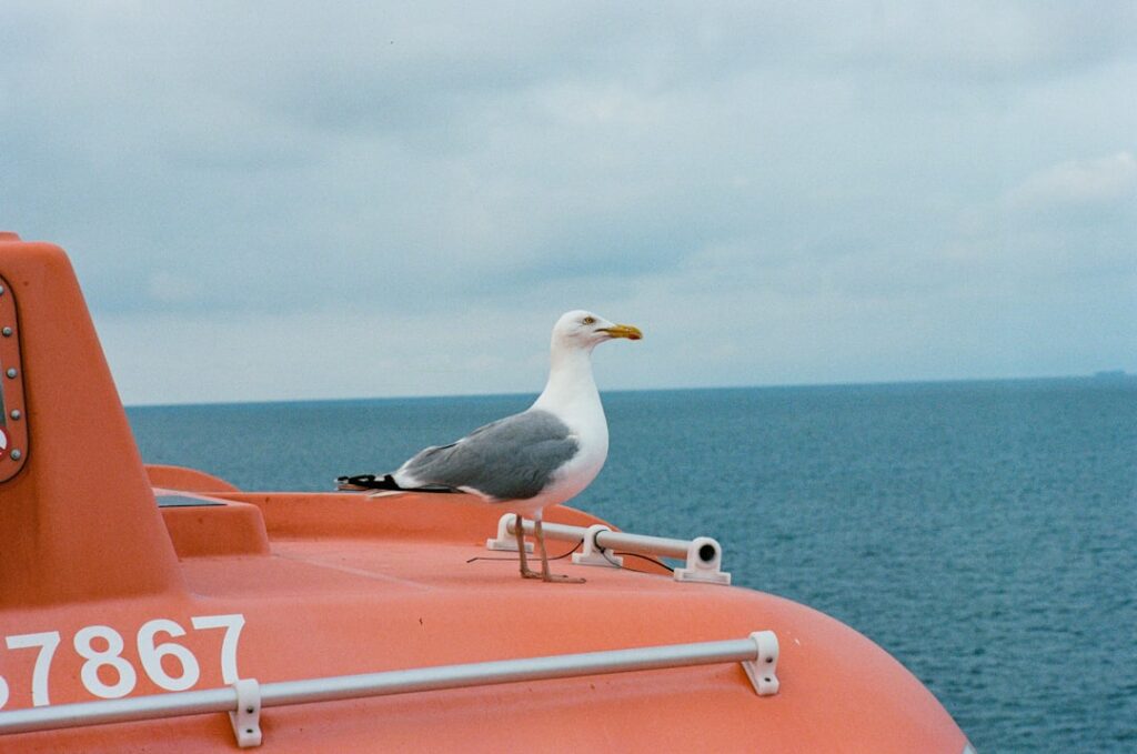 Photo onboarding client
