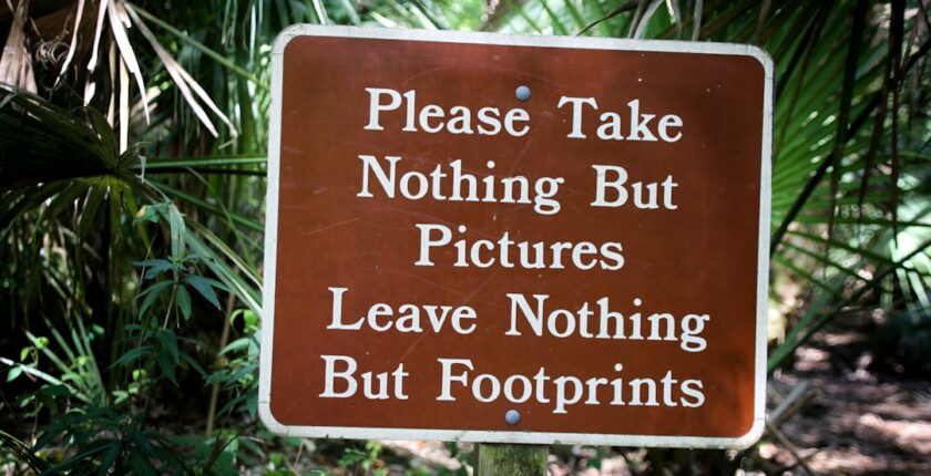 Photo Green obligations