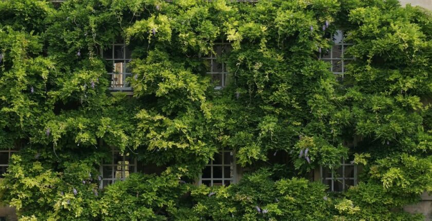 Photo Sustainability Report