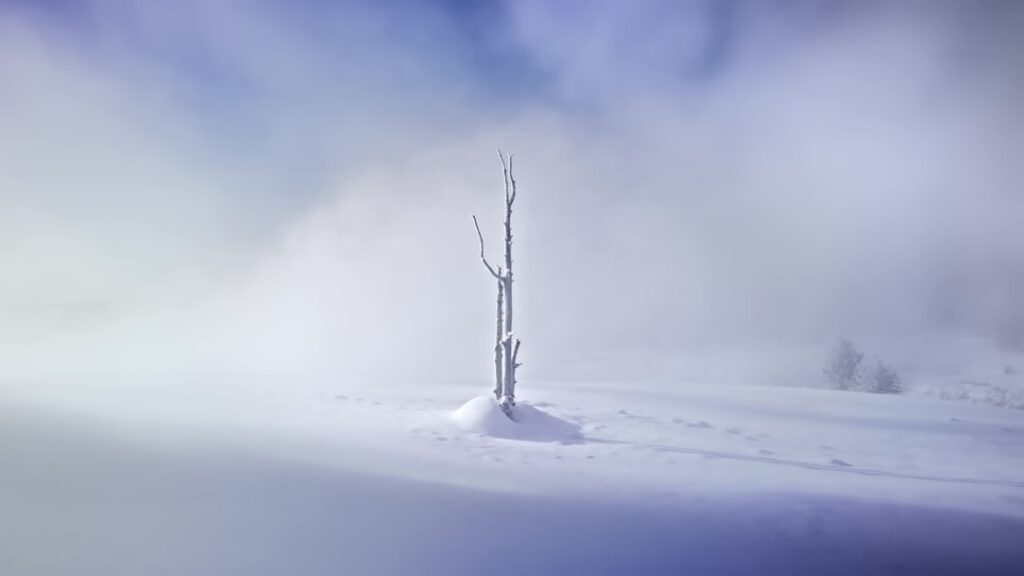 Photo climatic resistance tests