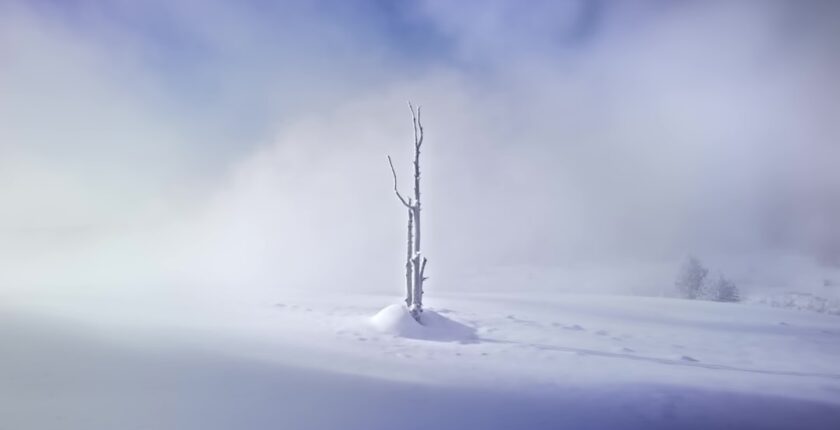 Photo climatic resistance tests