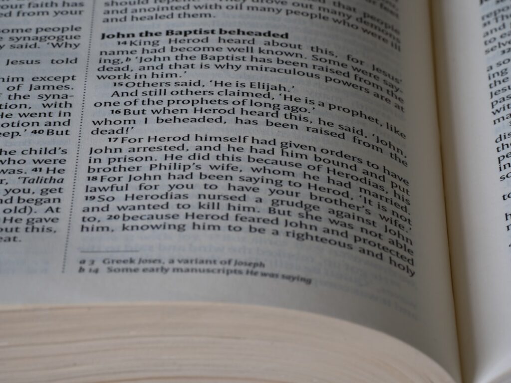 Photo Taxonomy