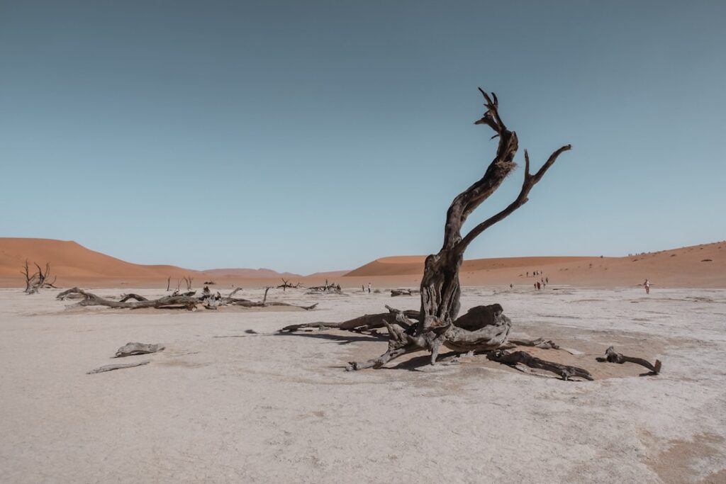 Photo transition climat