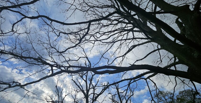 Photo Decarbonization