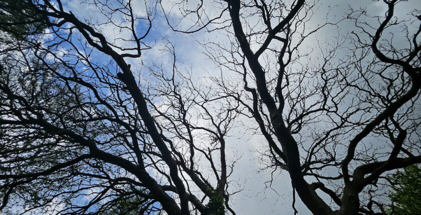 Photo Decarbonization