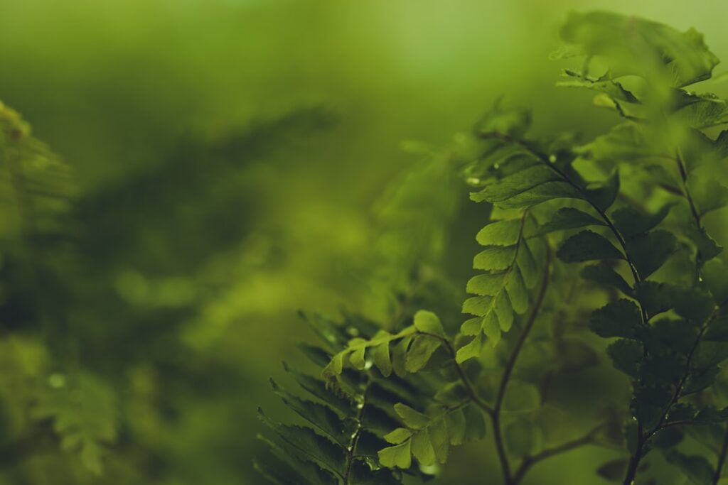 Photo sustainability report