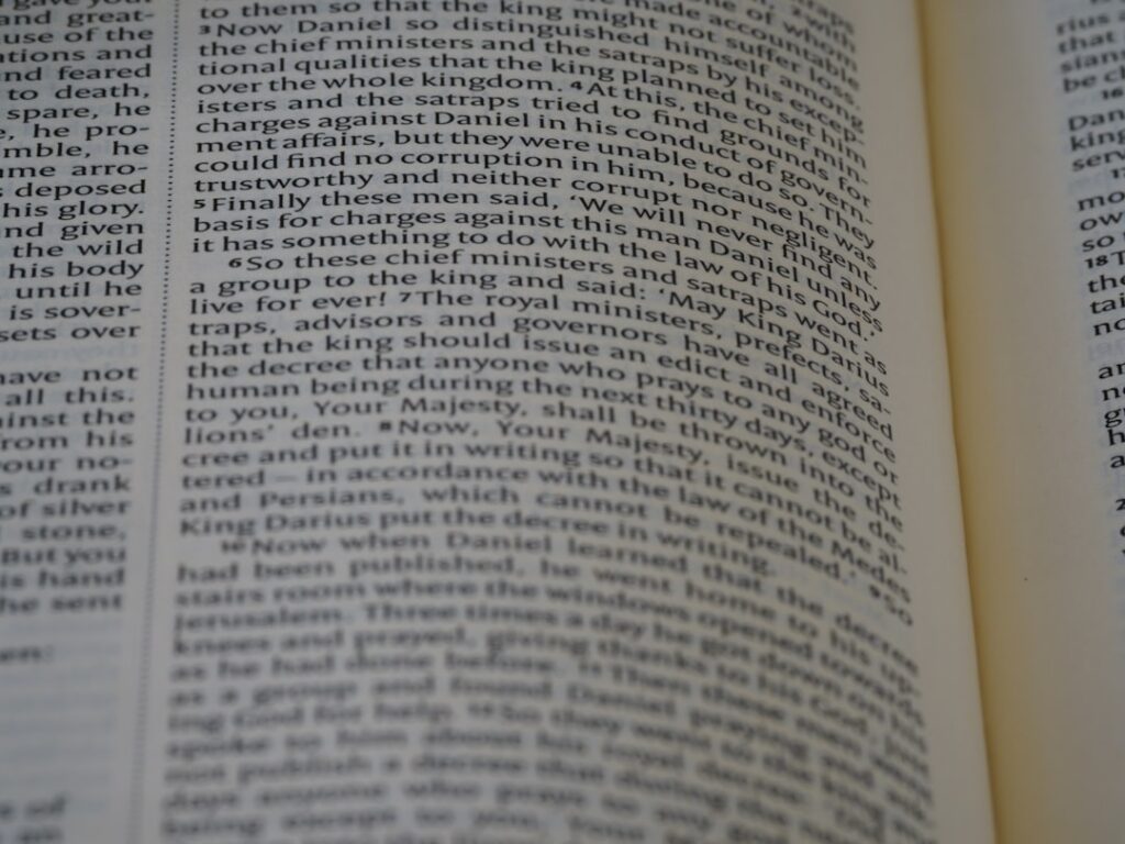 Photo Taxonomy