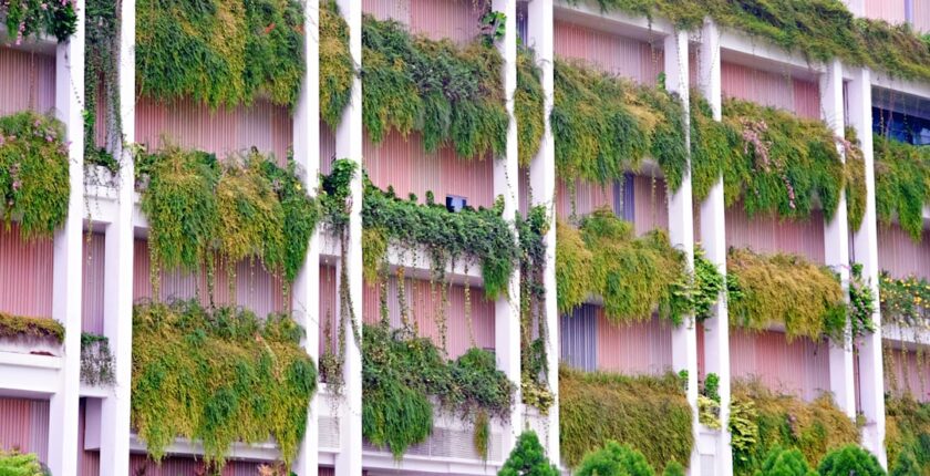 Photo sustainability governance