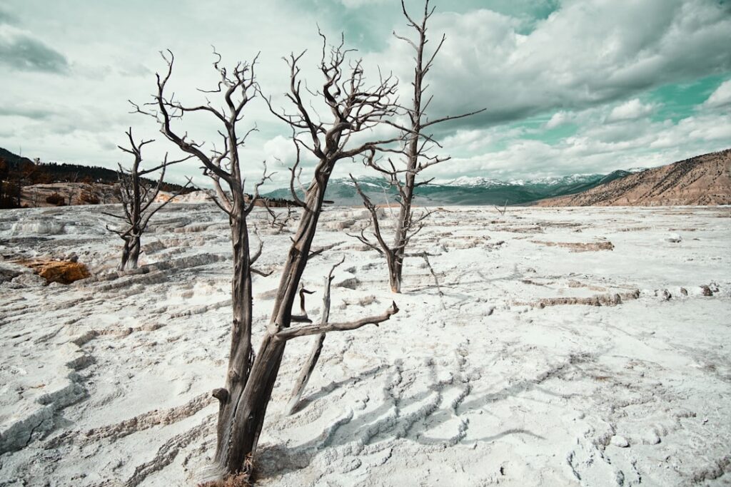Photo transition climat