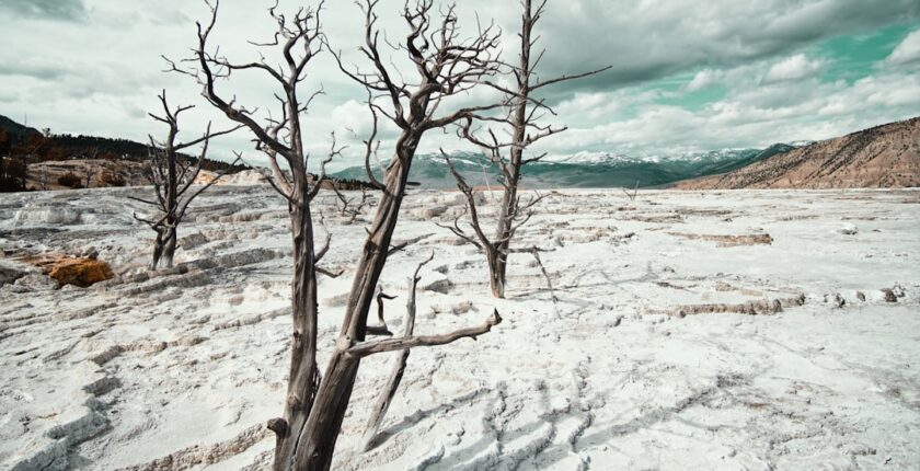 Photo transition climat