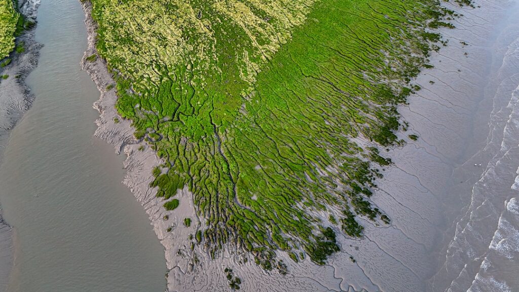 Photo greenwashing