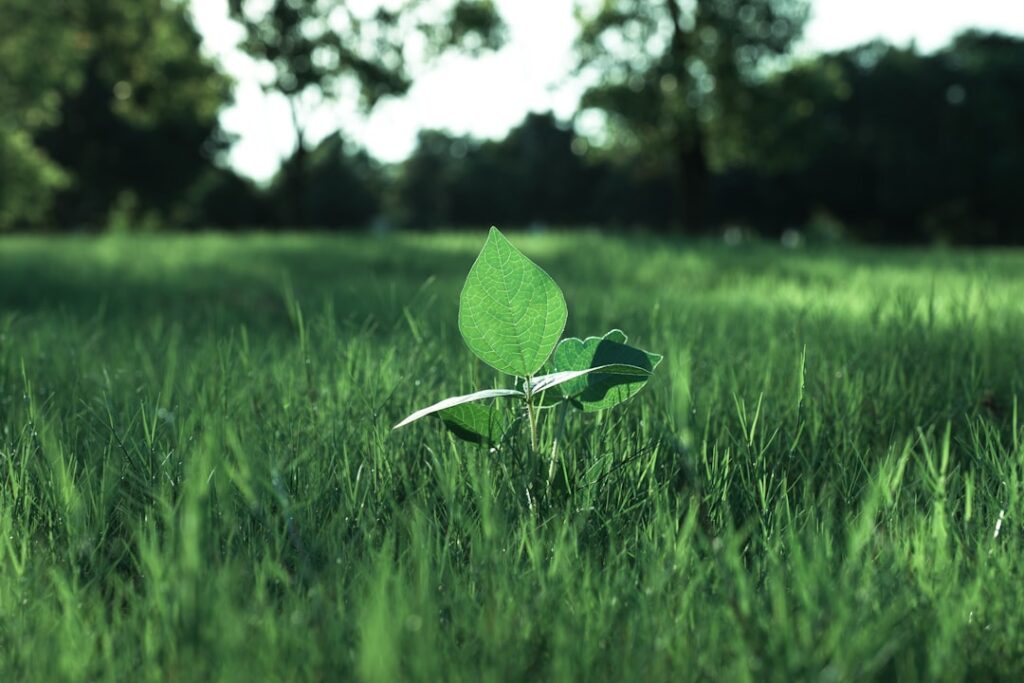Photo Sustainability governance