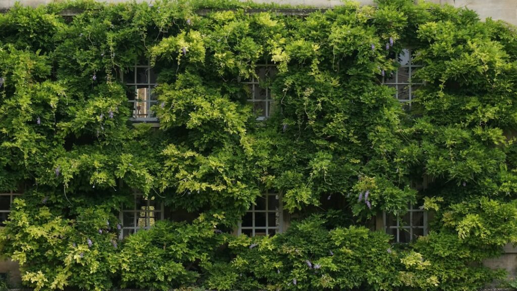 Photo sustainability report