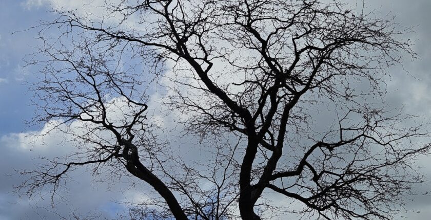 Photo Decarbonization