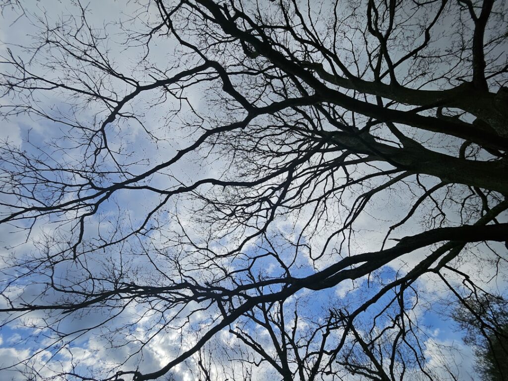 Photo Decarbonization