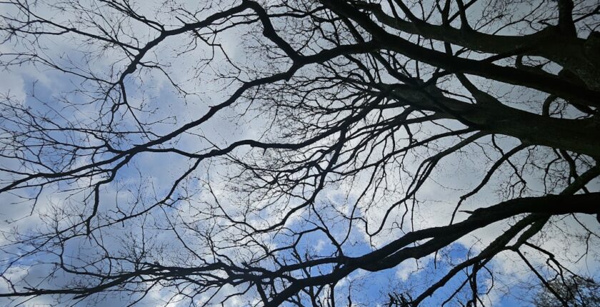 Photo Decarbonization