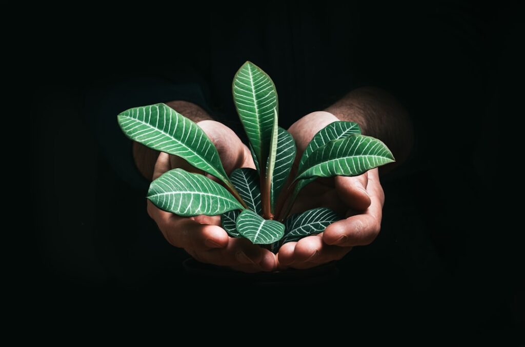 Photo sustainability reporting