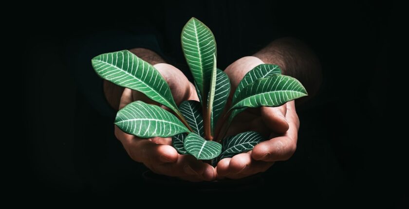 Photo sustainability reporting