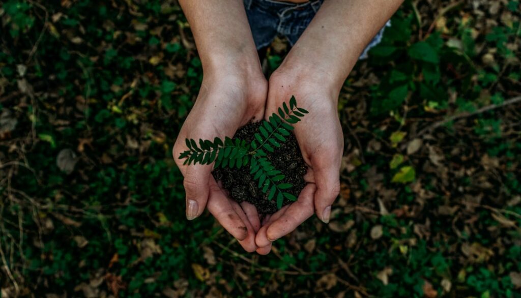 Photo sustainability reporting