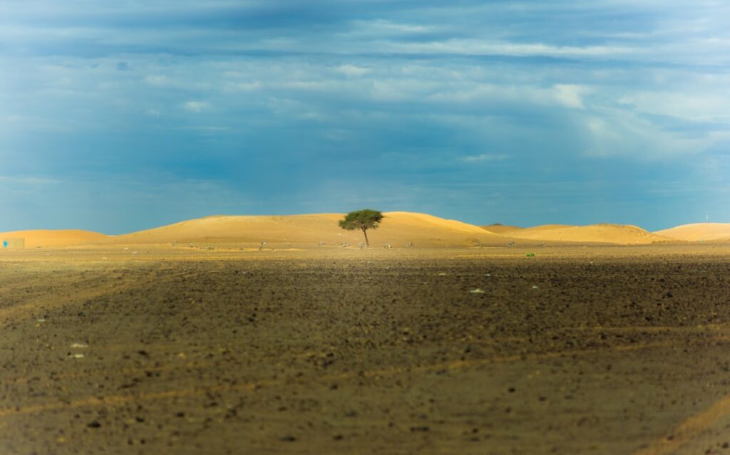 Photo resilience