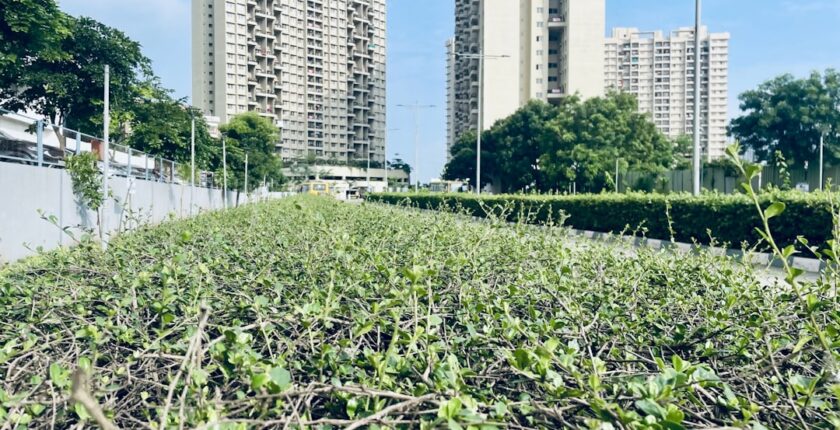 Photo Sustainability governance