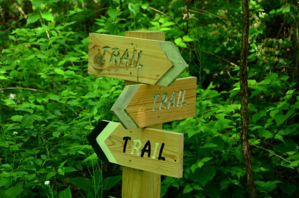 Photo CSRD audit trail