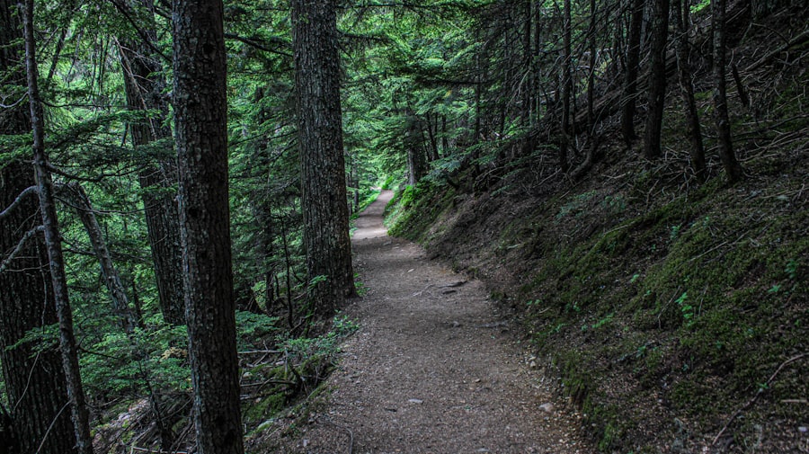 Photo CSRD audit trail