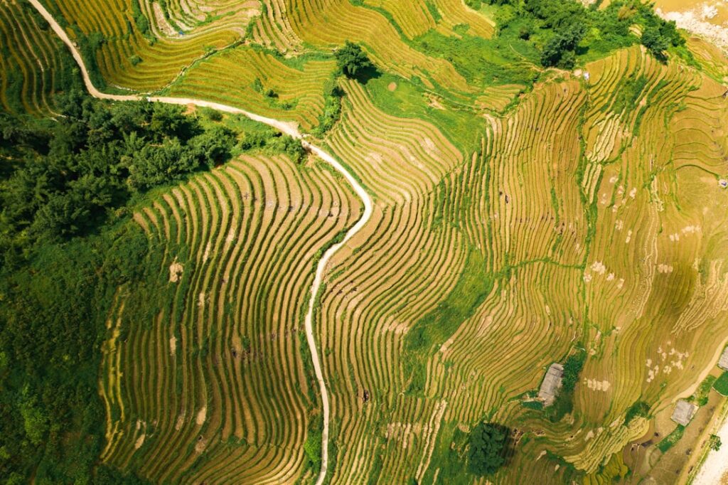 Photo sustainability risk mapping