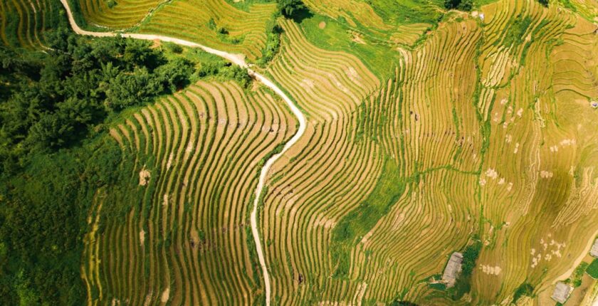 Photo sustainability risk mapping