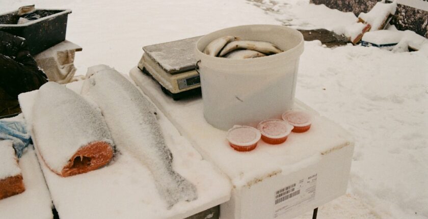 Photo climatic resistance tests