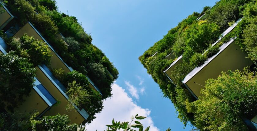 Photo sustainability governance