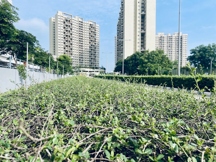 Photo Sustainability governance