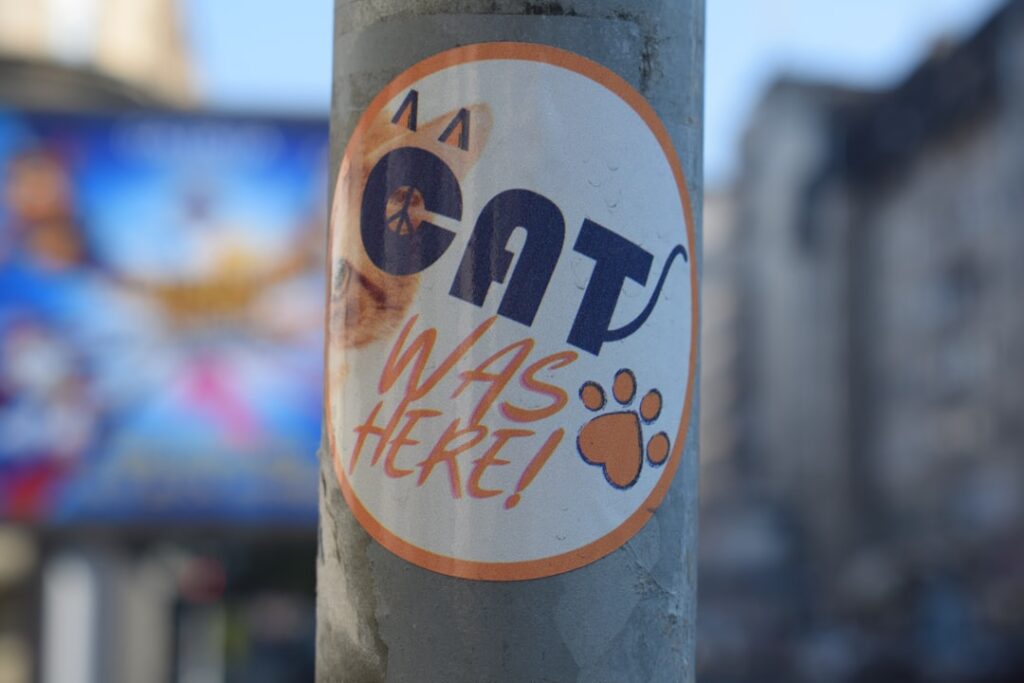 Photo Tarification Cat Nat