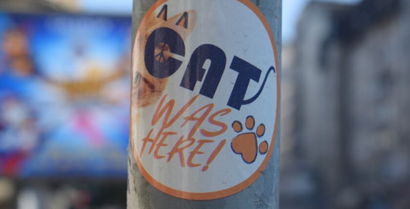 Photo Tarification Cat Nat